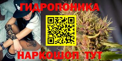 мяу мяу мука Кимры