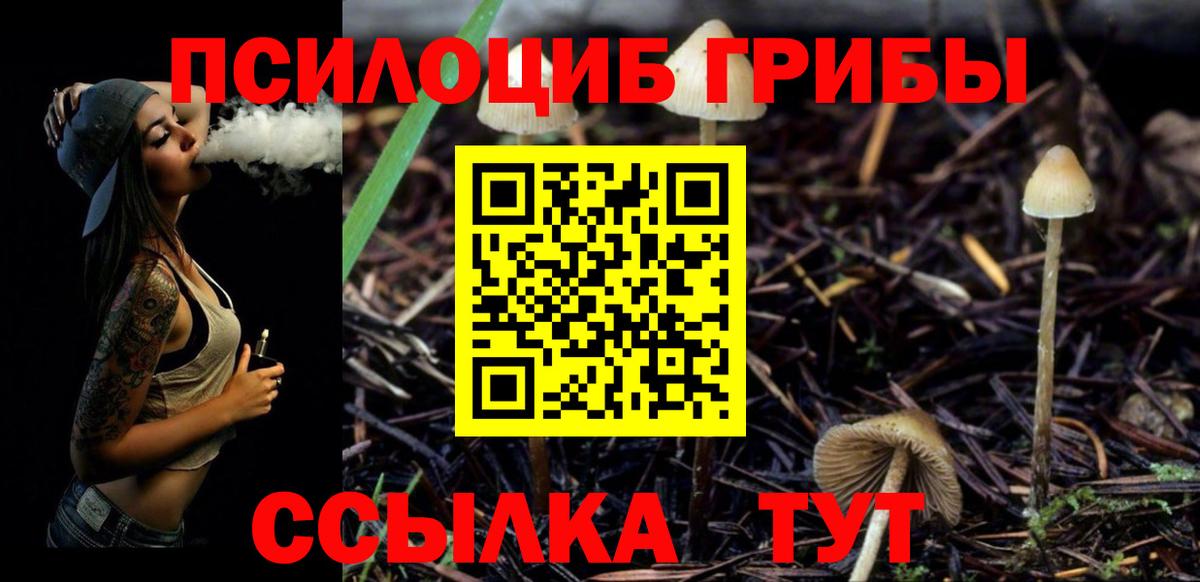 Псилоцибиновые грибы Psilocybine cubensis Кирово-Чепецк