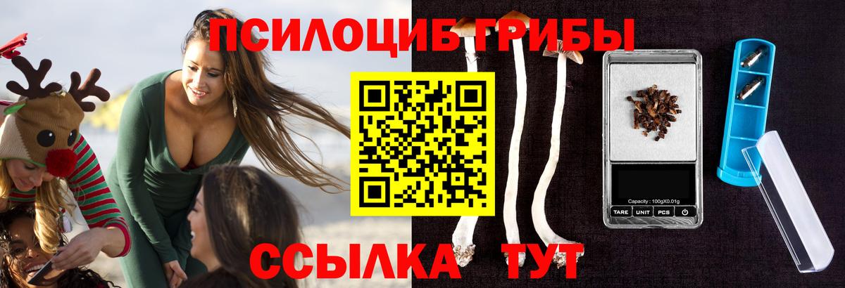 Кирово-Чепецк  Псилоцибиновые грибы Magic Shrooms  Псилоцибиновые грибы Psilocybine cubensis  Вход с VPN 